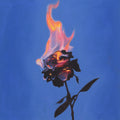 “Last Bloom” Original Oil Painting