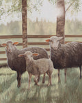 “The Quiet Three” Original Oil Painting