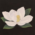 “Magnolia” Original Oil Painting