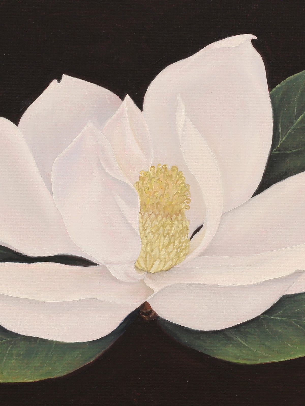 “Magnolia” Original Oil Painting