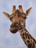 "Above the Rest" Original Oil Painting