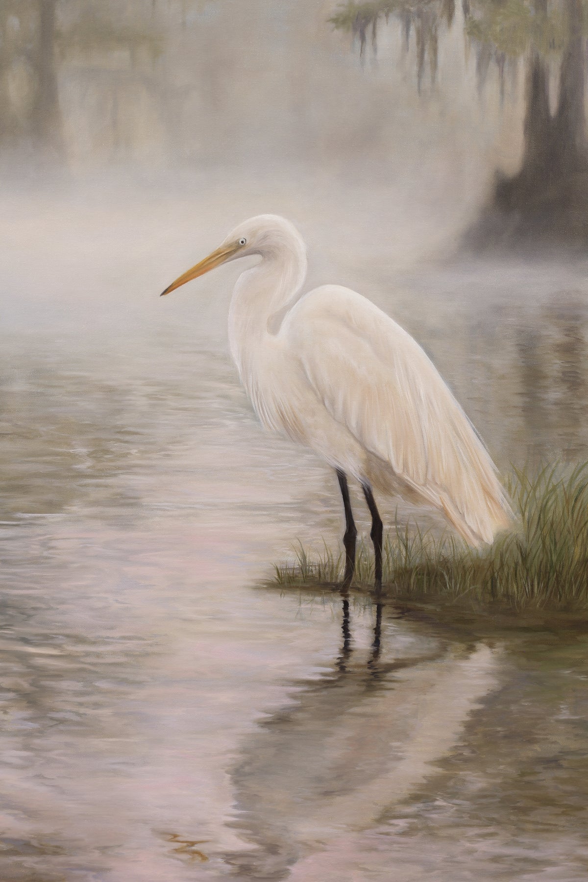 “Cypress Morning” Original Oil Painting